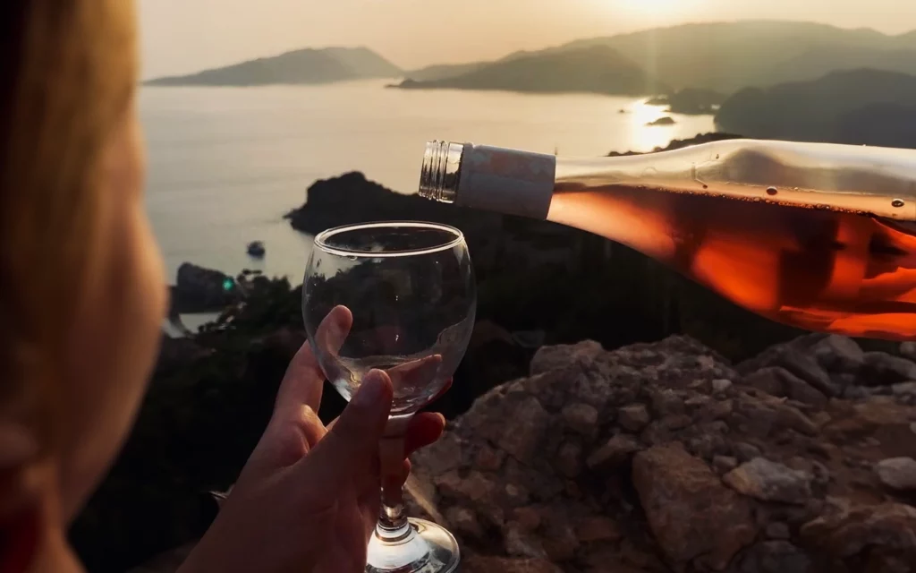 Les avantages dune cave a vin climatisee en Corse